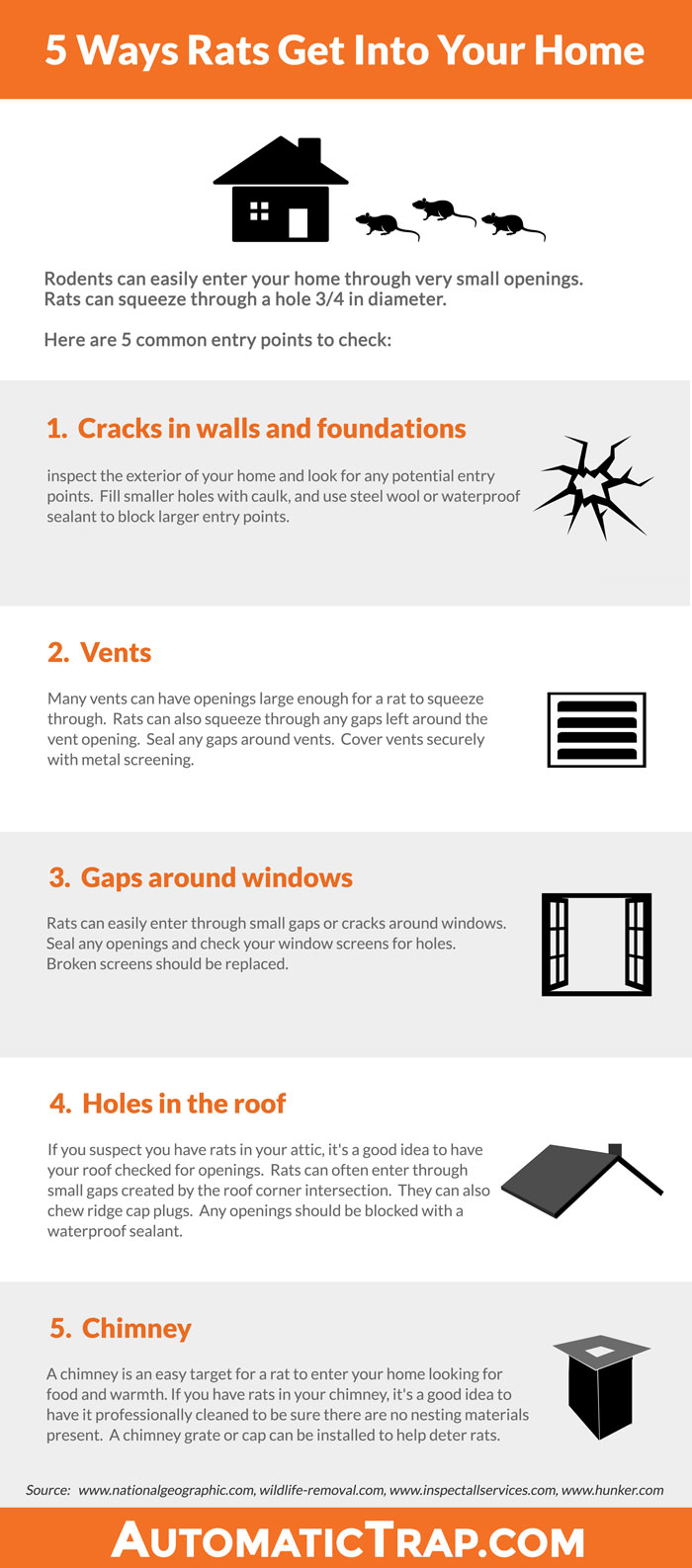 Rats In the Home - Infographic