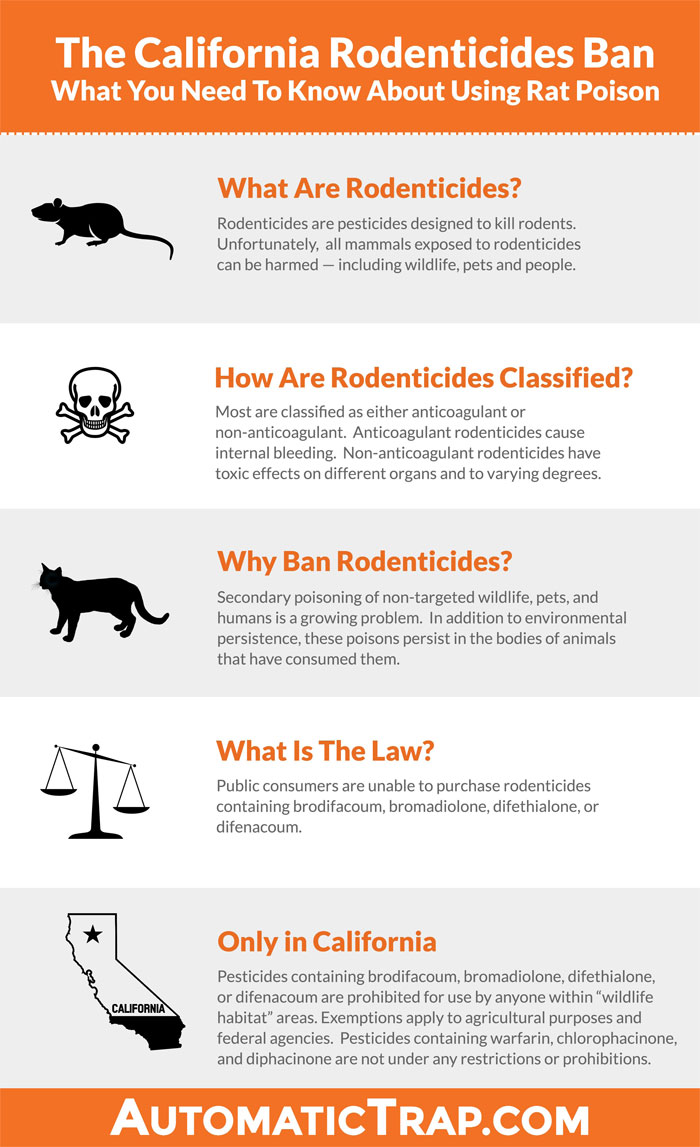 Rodenticides - Infographic