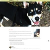 Auntie Jo's Sleepaway Camp- WordPress