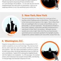 Rat Infested Cities - Infographic