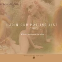 Faeries in the Attic - WordPress