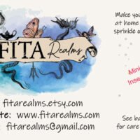 FITA Realms - business card